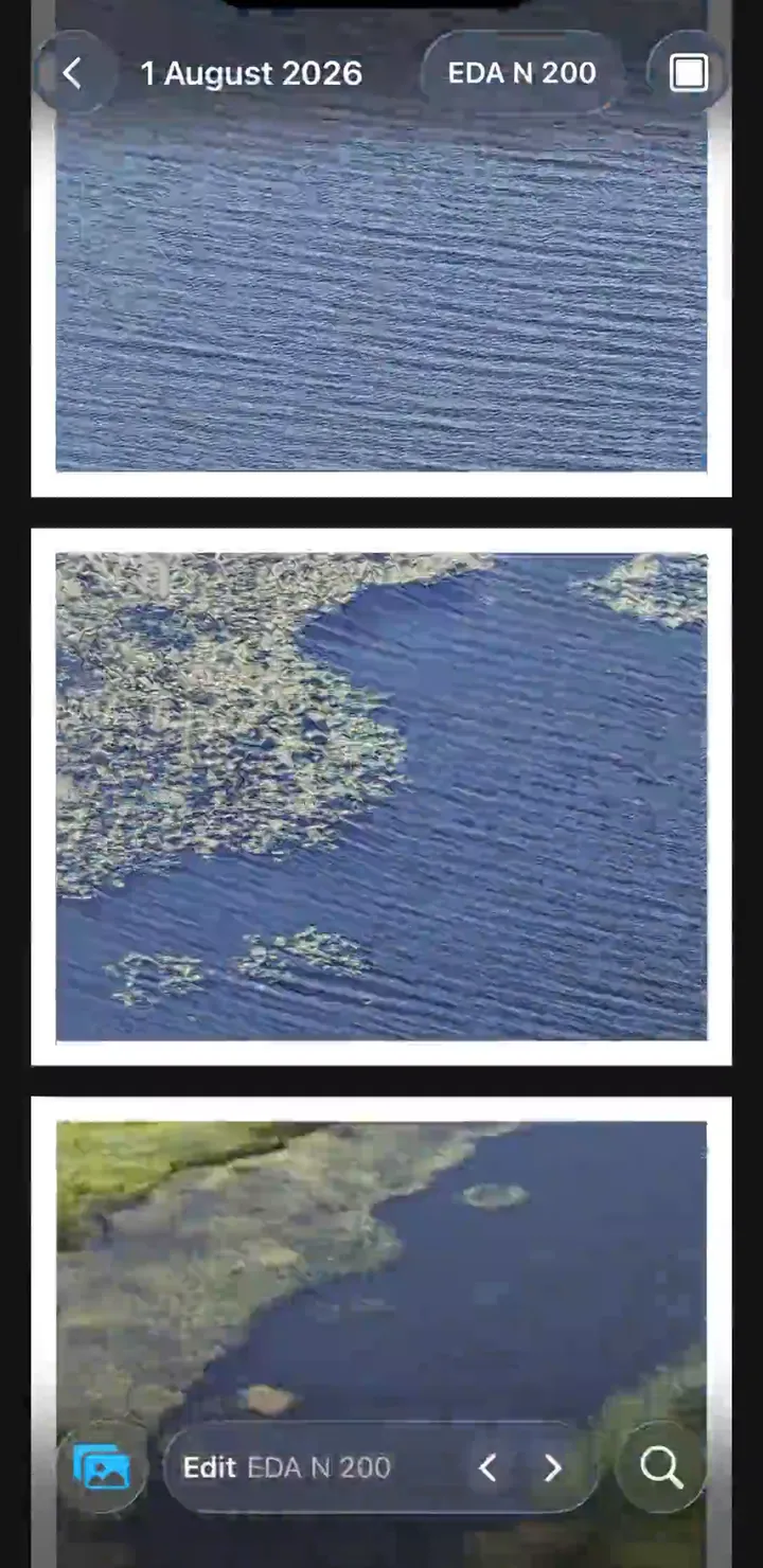 An EditAll library where every photo has the same film look and a white border