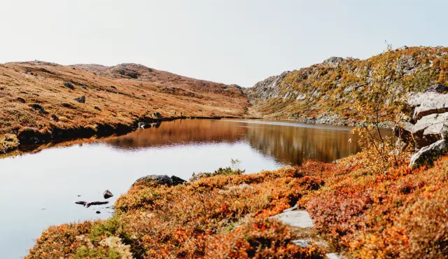 A small mountain lake between hills of orange autumn heather, in Agfa Vista 400