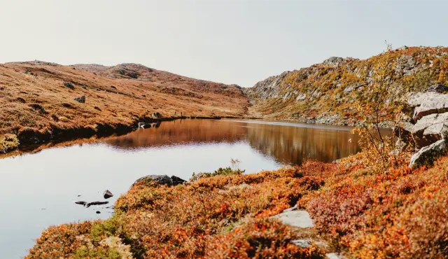 A small mountain lake between hills of orange autumn heather, in Kodak Gold 200