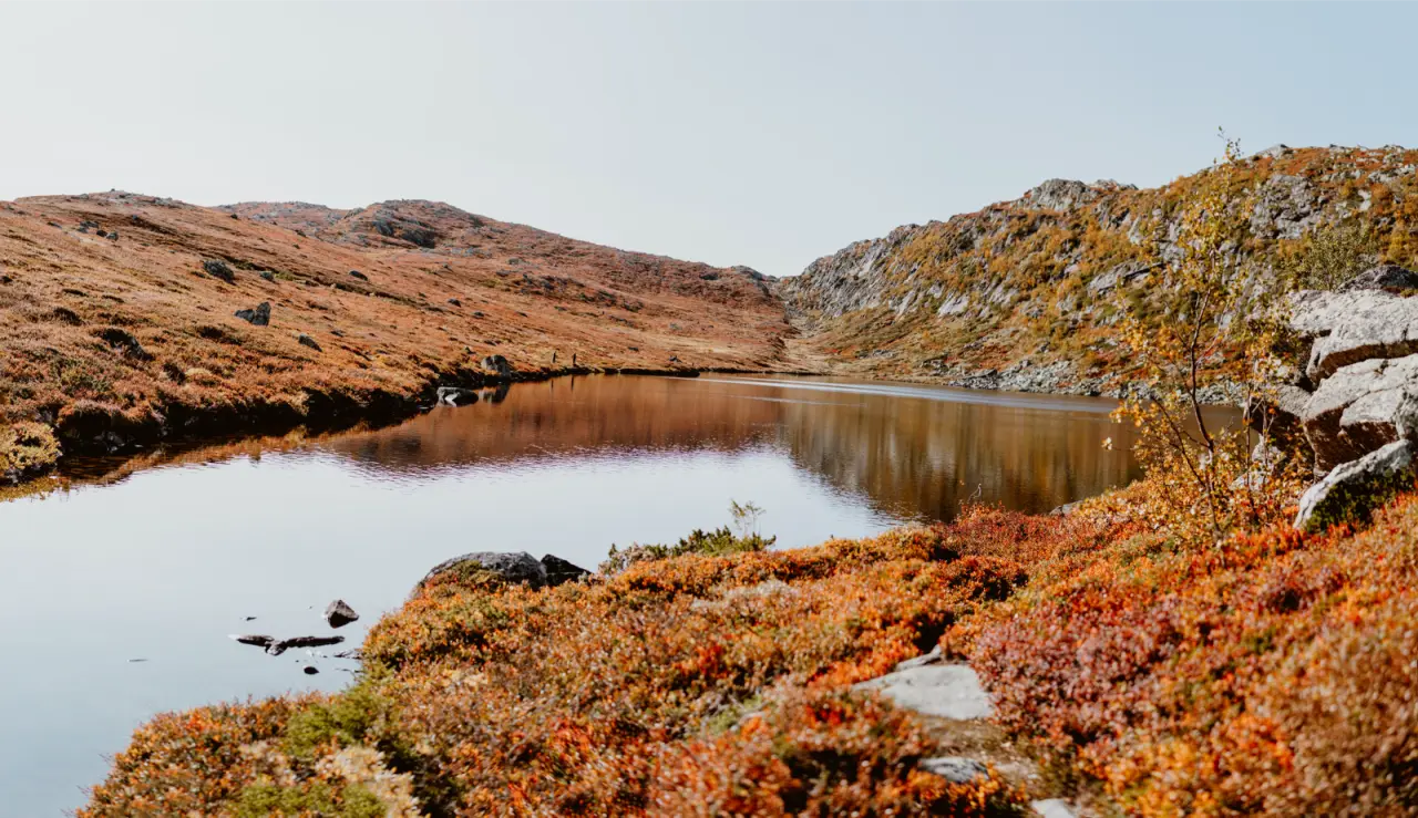 A small mountain lake between hills of orange autumn heather, unedited