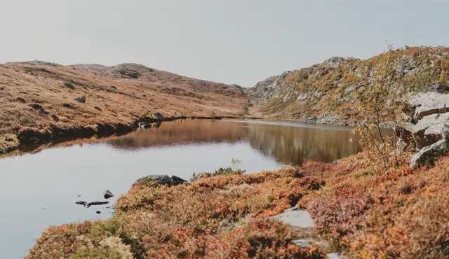 A small mountain lake between hills of orange autumn heather, in VNTG F 160
