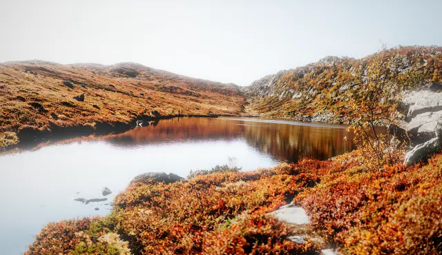 A small mountain lake between hills of orange autumn heather, in NEO v 90