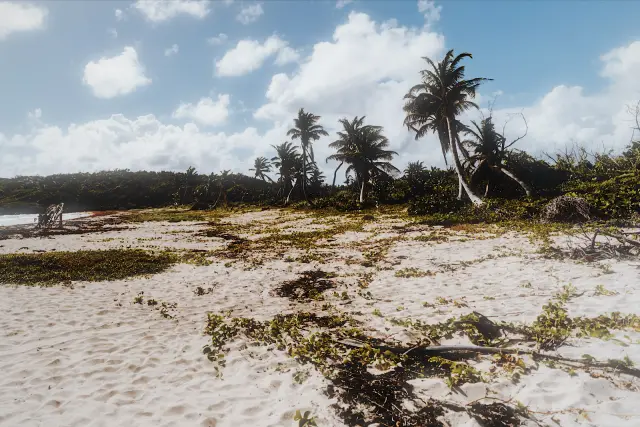 Palm trees behind a white sand beach under broken cloud, in NEO v 90